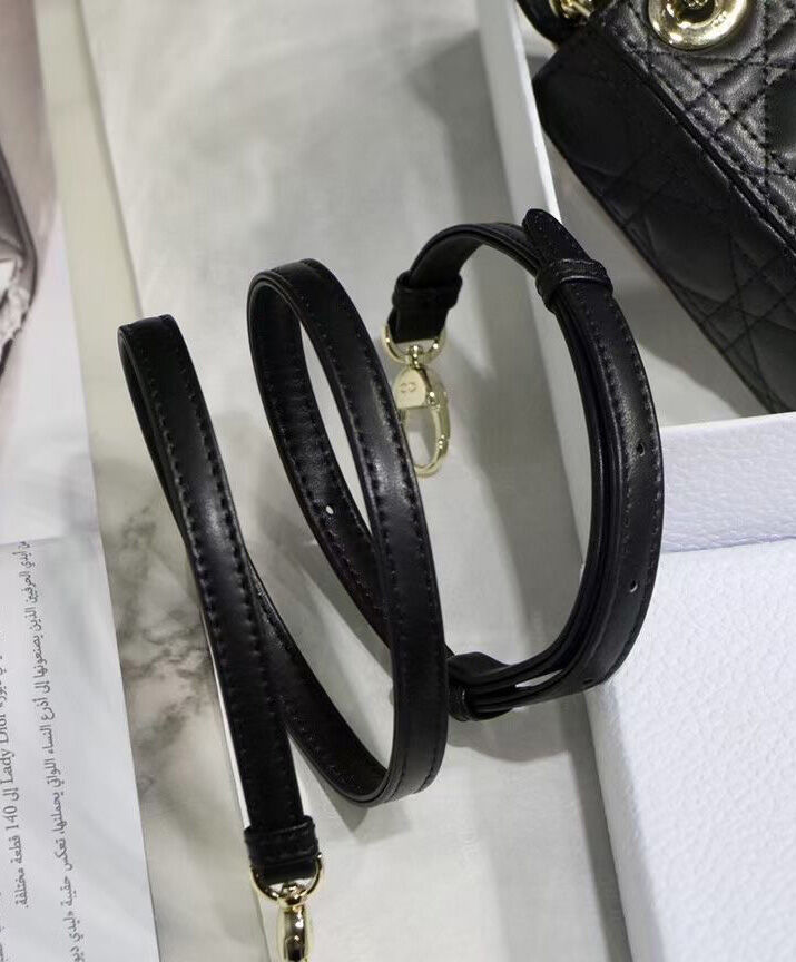 Christian Dior Micro Lady Dior Bag